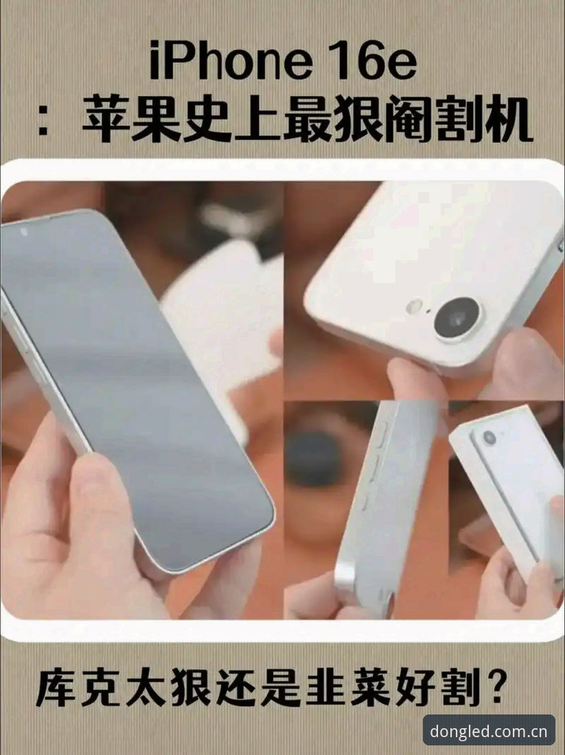 乐动体育安卓版哪个好 乐动体育安卓版全面解析:2026新版与旧版兼容性深度对比